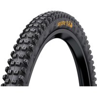 Schwalbe Racing Ralph Evo SGR 27