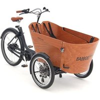 Babboe Carve Mountain 500Wh